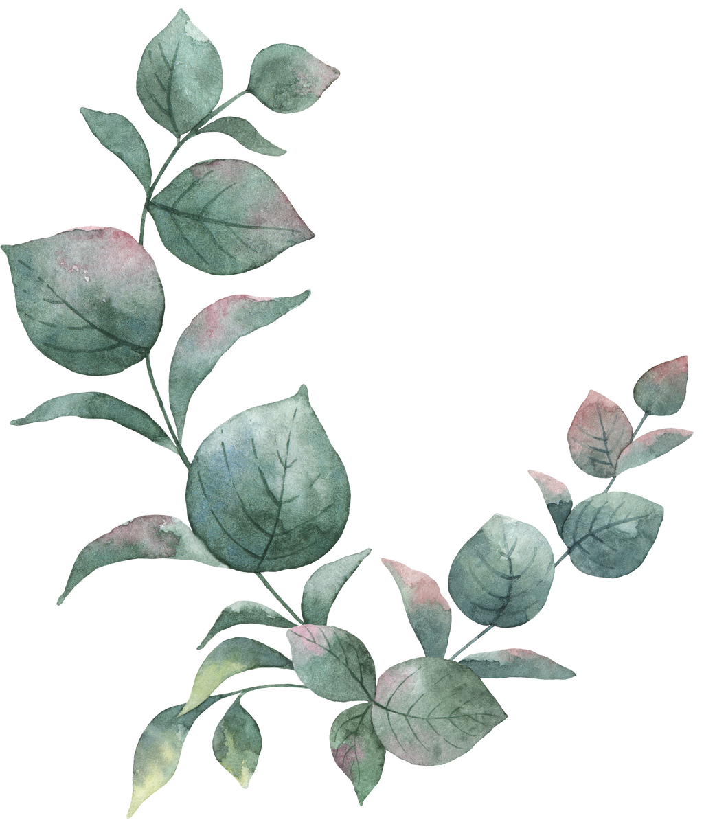 Watercolour wreath of eucalyptus leaves.